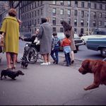Garry Winogrand (American, 1928-1984). Untitled (New York), 1967. 35mm color slide. Collection of the Center for Creative Photography, The University ofArizona. The Estate of Garry Winogrand, courtesy Fraenkel Gallery, San Francisco<br/>